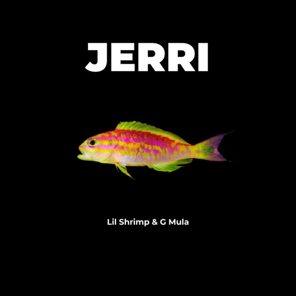 JERRI (Explicit)