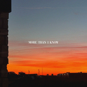 Listen to More Than I Know song with lyrics from Brycian
