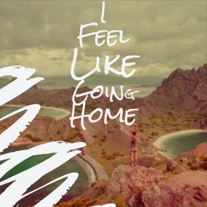 ดาวน์โหลดและฟังเพลง Feel Like Going Home พร้อมเนื้อเพลงจาก Muddy Waters