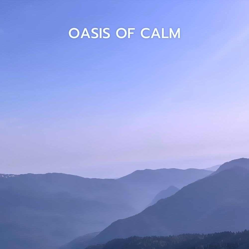 Zen Garden Serenity (New Age Music for Relaxation and Meditation with Rain)
