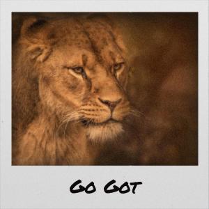 Album Go Got from Various