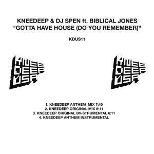 Listen to Gotta Have House (Do You Remember) (Knee Deep BV-Strumental) song with lyrics from Knee Deep