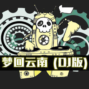 Listen to 梦回云南 (DJ版) song with lyrics from DJ多多