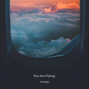 Album You Are Flying from aumigo