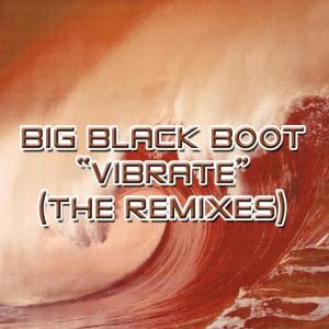 Big Black Boot的專輯Vibrate 2004