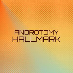 Various Artists的專輯Androtomy Hallmark