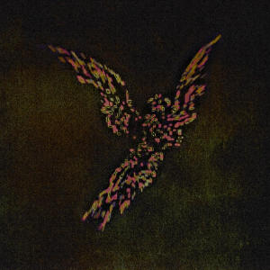 default album img