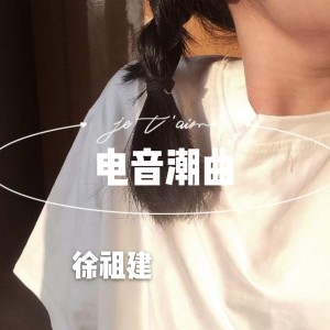 Album 电音潮曲 from 徐祖建