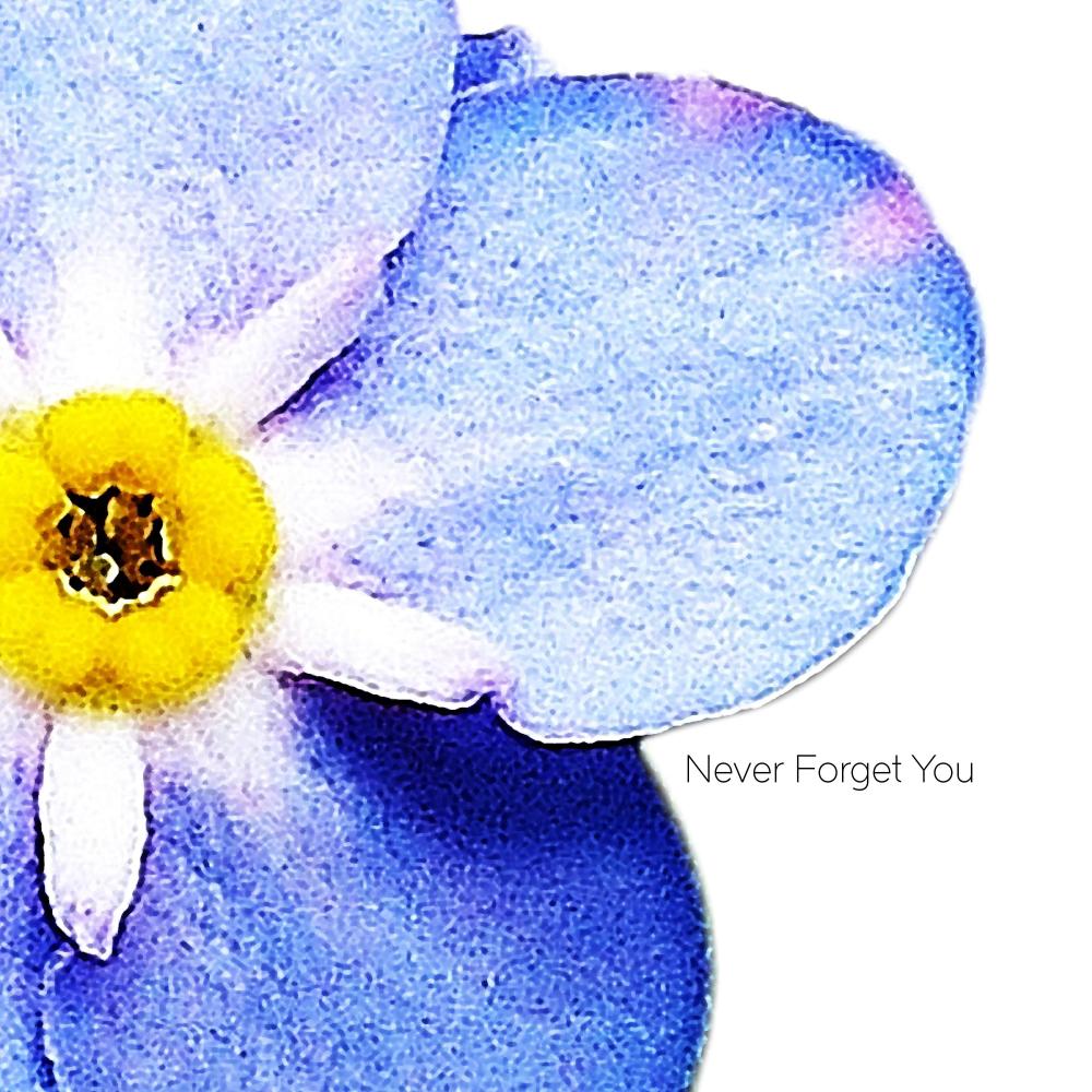 Never Forget You (feat. Lisa Peterson)