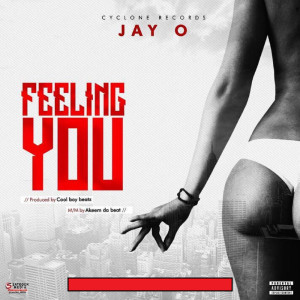 收聽Jay O的Feeling You (Explicit)歌詞歌曲