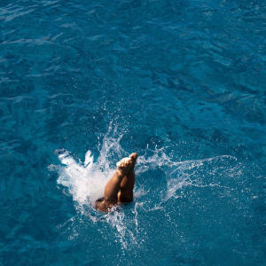 收聽Lonita的Dive (feat. Vilan)歌詞歌曲