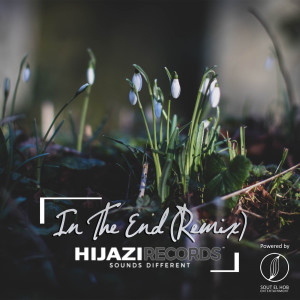 Listen to In The End (Remix) song with lyrics from DJ Hijazi
