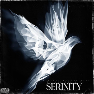 MINASTA SCRUGE的專輯Serenity (Explicit)