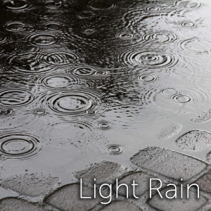 Listen to Light Rain song with lyrics from Tmsoft's White Noise Sleep Sounds
