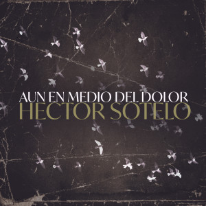 Listen to Aun en Medio del Dolor song with lyrics from Hector Sotelo