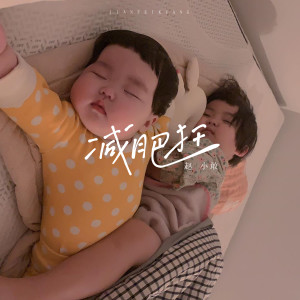 Dengarkan 减肥狂 lagu dari 赵小敢 dengan lirik