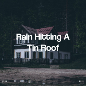 อัลบัม !!!" Rain Hitting A Tin Roof "!!! ศิลปิน Rain Sounds
