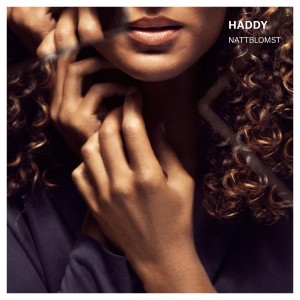 Listen to Kjærlighetsbrev song with lyrics from Haddy