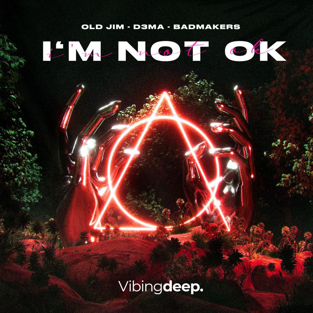 I'm Not Ok (Extended Mix)