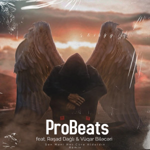 Album Sən Məni Hər Cürə Aldatdın (Remix) from ProBeats