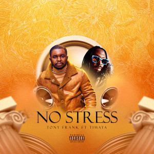 Album No Stress (Explicit) from Timaya