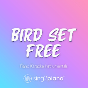 Album Bird Set Free (Piano Karaoke Instrumentals) oleh Sing2Piano