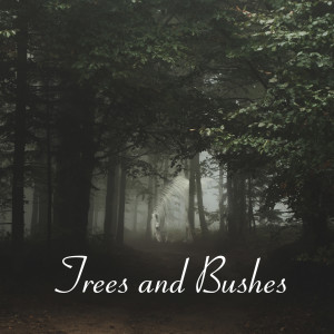 ดาวน์โหลดและฟังเพลง Between Trees and Bushes พร้อมเนื้อเพลงจาก Irish