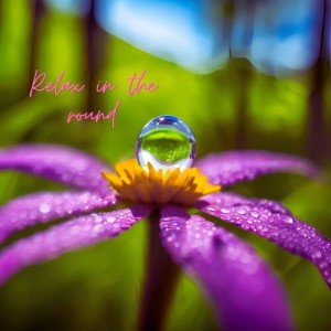 Album Relax in the round from 