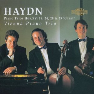 ดาวน์โหลดและฟังเพลง Piano Trio in G Major "Gypsy", Hob. XV:25: III. Finale. Rondo all' Ongarese. Presto พร้อมเนื้อเพลงจาก Vienna Piano Trio