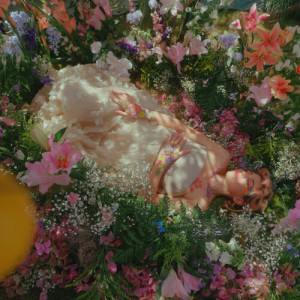 Album Wide Awake from Flavia