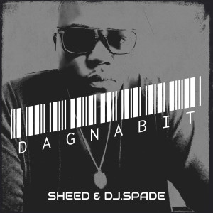 dj.spade的专辑Dagnabit (Explicit)