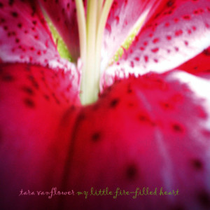 ดาวน์โหลดและฟังเพลง A Conversation with Death พร้อมเนื้อเพลงจาก Tara Vanflower