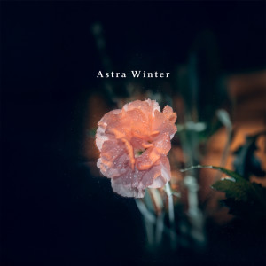 ดาวน์โหลดและฟังเพลง Subsurface Echo พร้อมเนื้อเพลงจาก Astra Winter