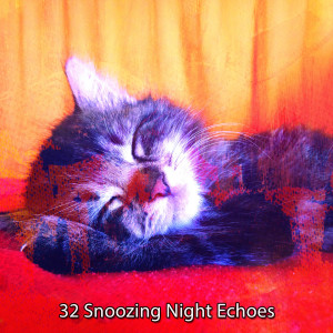 อัลบัม 32 Snoozing Night Echoes ศิลปิน Relaxing Rain Sounds