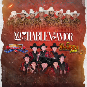 ดาวน์โหลดและฟังเพลง No Me Hablen de Amor พร้อมเนื้อเพลงจาก Conjunto Remador