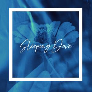Album Sleeping Dove from flywtwo