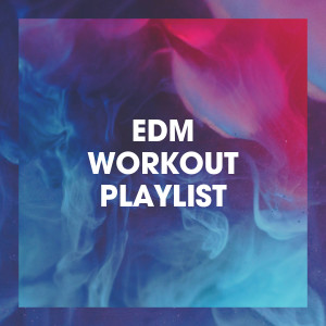 Album EDM Workout Playlist from Masters of Electronic Dance Music