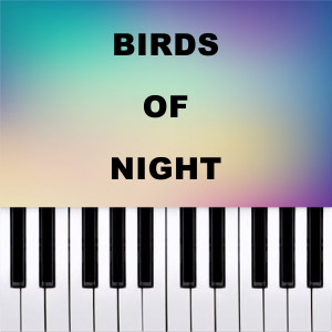 Piano Pop TV的專輯Bird of Night (Piano Version)