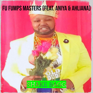 Listen to Fu Fumps Masters song with lyrics from Shake Bagg