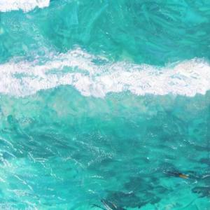 อัลบัม Ocean Dialogues ศิลปิน Self Care Meditation