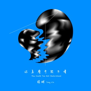 Listen to 你怎么可能不懂 song with lyrics from 杨琳