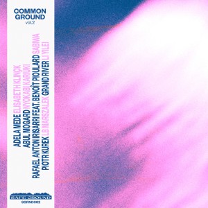 Various Artists的專輯Common Ground, Vol. 2