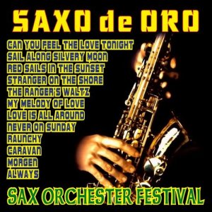 ดาวน์โหลดและฟังเพลง The Ranger's Waltz พร้อมเนื้อเพลงจาก Sax Orchester Festival