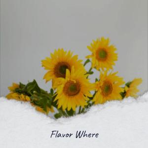 Listen to Track Off song with lyrics from Shasha Hanne