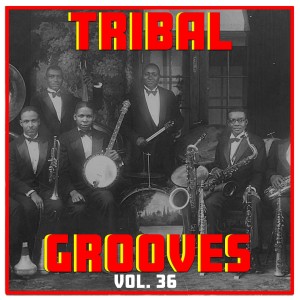 Umar M Sharif的专辑Tribal Grooves Vol. 36