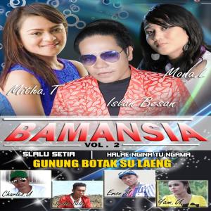 Bamansia, Vol. 2 dari Various Artists