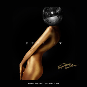 Listen to Feel It (Albert Marzinotto Re-Feel It Mix) song with lyrics from The Tamperer