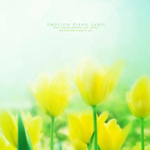 收听Tiamo的My Happiness歌词歌曲