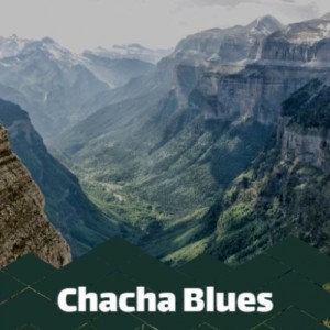 收聽Los Papines的Chacha Blues歌詞歌曲