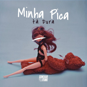 DJ Ronaldo o Brabo的專輯Minha Pica Tá Dura (Explicit)